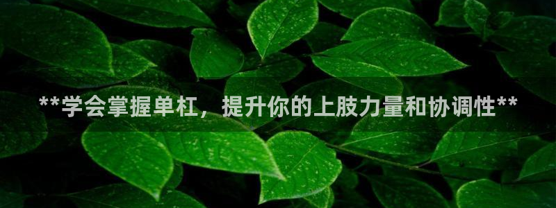 星欧娱乐最建议买的三个产品有哪些