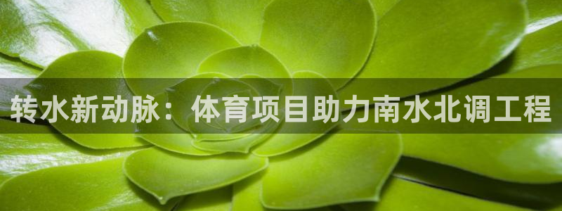 星娱乐文化传媒有限公司