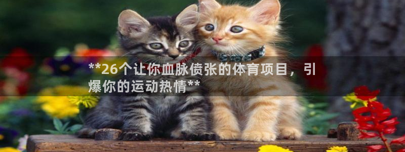 星欧娱乐是什么品牌