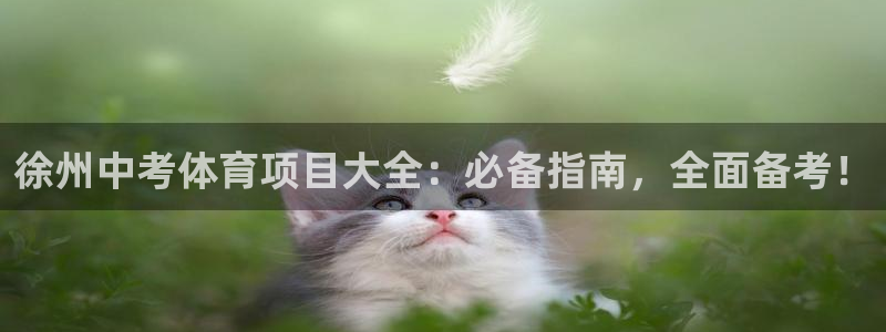 星欧娱乐法711.112不退款后果