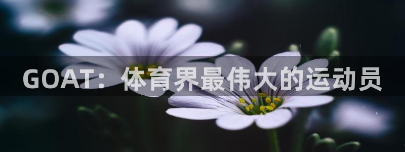 星奥娱乐怎么样知乎